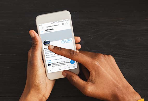 Black female hands holding smartphone, top view